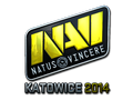 Natus Vincere (Foil)