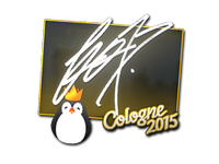 Csgo-col2015-sig fox large