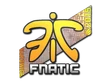 Fnatic Holo Sticker