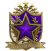 Service Medal 2022 lvl4