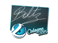 Csgo-col2015-sig boltz large