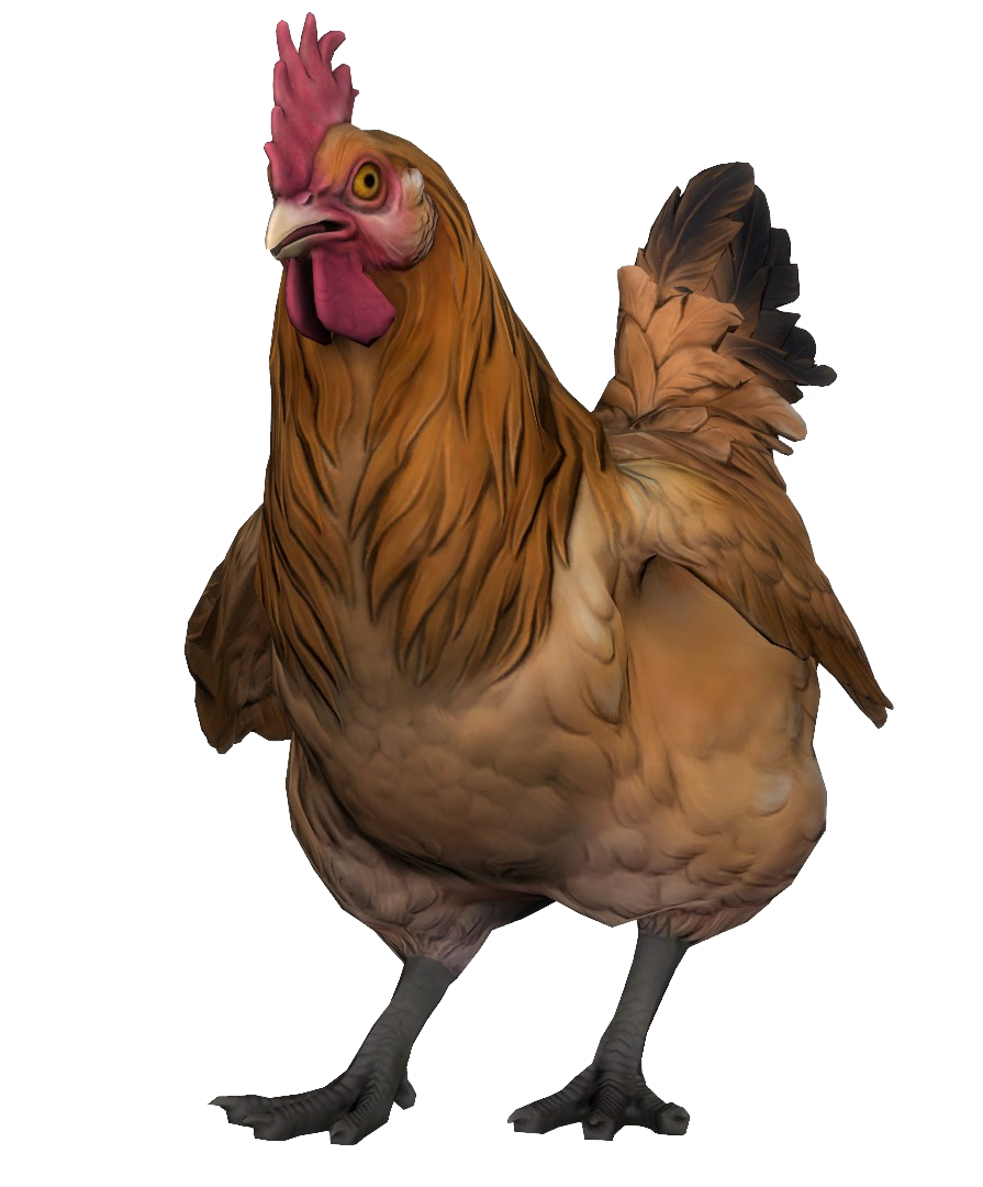 Rooster Fighter - Wikipedia