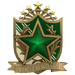 2022 Service Medal - Level 2