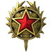 2020 Service Medal - Level 6