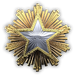 2016 Service Medal - Level 1