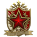 Service Medal 2022 lvl6
