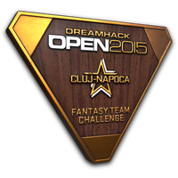 Bronze Cluj-Napoca 2015 Fantasy Team Trophy