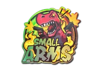 Small Arms (Holo)