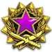 2017 Service Medal - Level 5