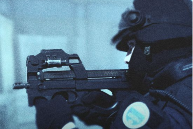 Gendarmerie Nationale, Counter-Strike Wiki