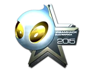 Team Dignitas (Foil) - Cluj-Napoca 2015