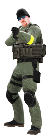 Counter-Strike: Global Offensive/Gallery, Counter-Strike Wiki