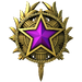 2020 Service Medal - Level 5