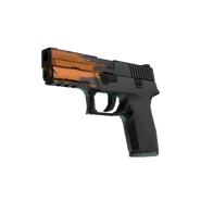P250 - Splash