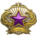 2018 Service Medal - Level 5