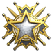 Service medal 2019 lvl1 large