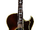 Epiphone Howard Roberts.png