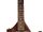 Electric Sitar.png