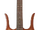 Danelectro.png