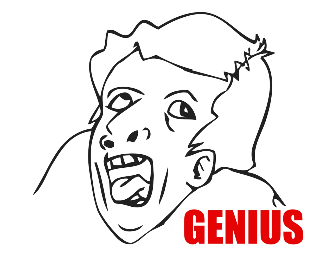 Memes graciosos para facebook: El misterio: Parte 1 | Flickr, image size:1280x985