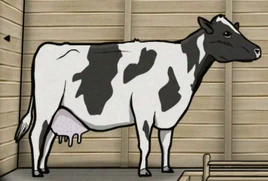 Cow