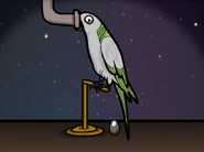 The Black Egg in Cube Escape: Theatre.