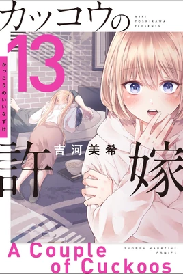 Volume-13-Front-Cover