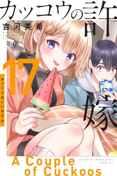 Volume-17-Front-Cover