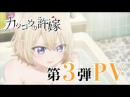 PV 3