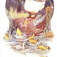 El Patito Feo Wikia Cuentos De Hadas Fandom