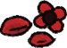 Camellia Seed