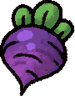 Beetroot