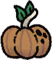 Pumpkin Seed