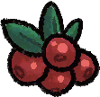 Resources