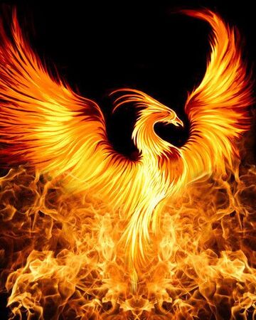 Nine Paths Phoenix Sabre Cultivation Chat Group Wiki Fandom Nine Paths Phoenix Sabre Cultivation Chat Group Wiki Fandom