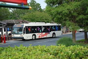 Disney bus in Walt Disney World, Florida