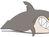 Shark