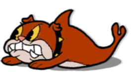 Dogfish