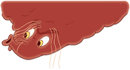 The ulcer attacking left