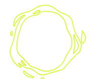 Beta carrobeam.png (23 KB) β-胡蘿蔔射線