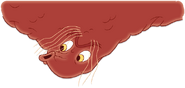 The ulcer is moderately attacking to the left