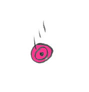 Slice of parryable baby beets