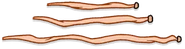 Sausagechain.png (15 KB) Gaps