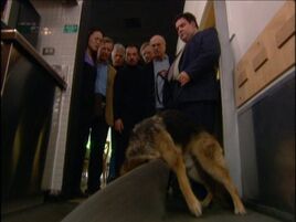 The-corpse-sniffing-dog-picture