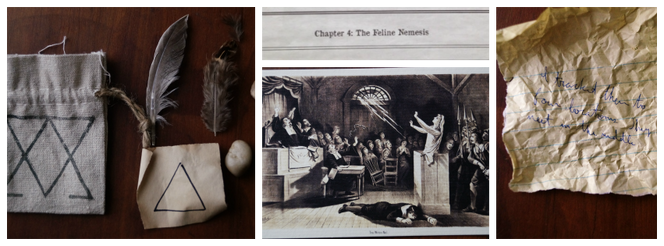 Feline nemesis collage.png
