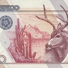 Mexican 100 000 Peso Banknote Currency Wiki Fandom