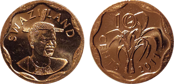 swaziland 5 cents 2011 18mm copper steel coin unc