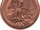 Australian 1 cent coin