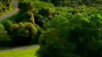 K Fee Car Cursed Commercials Wiki Fandom