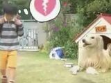 Calbee Consome Panchi